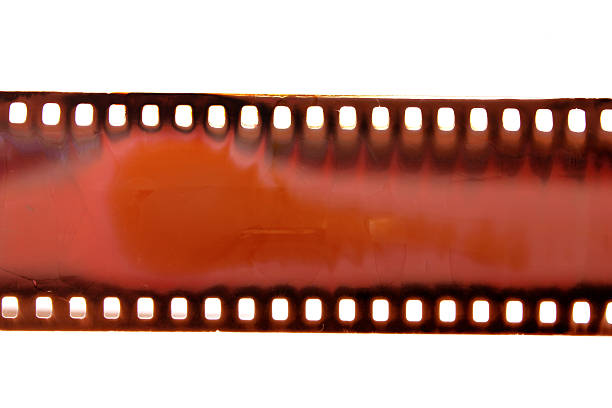 istock Strip of Camera Film 155000308