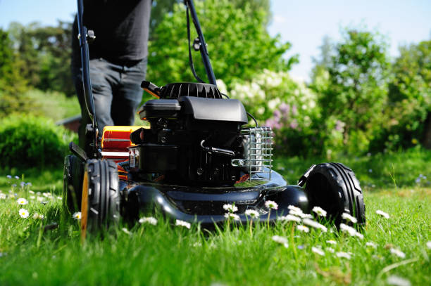 istock Mowing the lawn in nice green garden 155003590