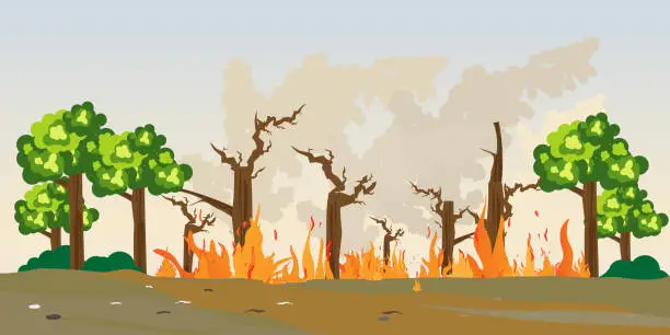 Vector illustration of Forest burning in natural disaster.