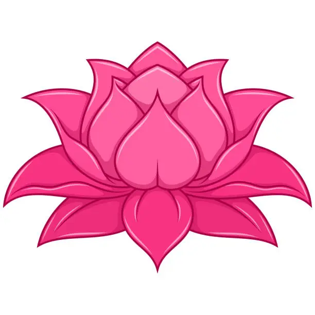 Vector illustration of lotus flower vector design