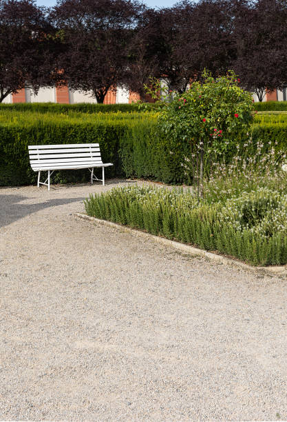 istock white wooden bench in the park 1550054537