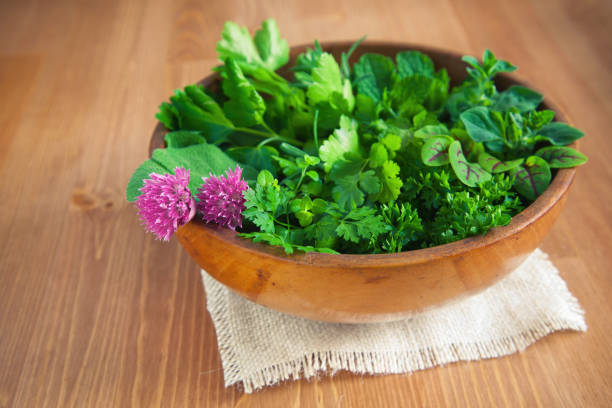 plantas aromáticas orgânicos - chive blossom imagens e fotografias de stock