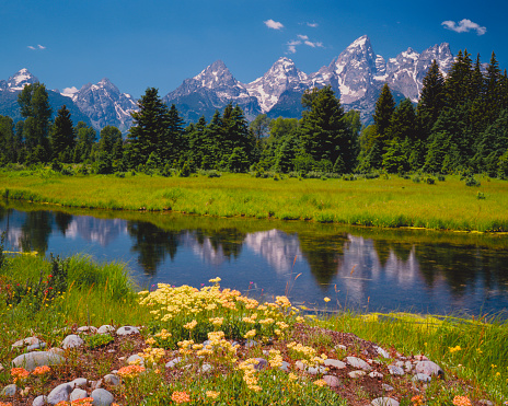 A spring pond with flowers sits in the meadow at the foot of the Grand Tetons in Grand Tetons National Park in Jackson, Wyoming.\n[url=http://www.istockphoto.com/search/lightbox/14271574#174dc390][img]http://i1136.photobucket.com/albums/n486/Ron_Patty/GrandTetons_zpscdd9f9ad.jpg[/img][/url]\n[url=http://www.istockphoto.com/search/lightbox/11758150#11ebb0f][img]http://i1136.photobucket.com/albums/n486/Ron_Patty/Flowersofallkinds.jpg[/img][/url]\n[url=http://www.istockphoto.com/search/lightbox/8496953#16baf161][img]http://i1136.photobucket.com/albums/n486/Ron_Patty/MountainsofNorthAmerica380px.jpg[/img][/url]\n[url=file_closeup.php?id=18035840][img]file_thumbview_approve.php?size=1&id=18035840[/img][/url] [url=file_closeup.php?id=15913587][img]file_thumbview_approve.php?size=1&id=15913587[/img][/url] [url=file_closeup.php?id=18096018][img]file_thumbview_approve.php?size=1&id=18096018[/img][/url] [url=file_closeup.php?id=16036733][img]file_thumbview_approve.php?size=1&id=16036733[/img][/url] [url=file_closeup.php?id=15915515][img]file_thumbview_approve.php?size=1&id=15915515[/img][/url] [url=file_closeup.php?id=15915039][img]file_thumbview_approve.php?size=1&id=15915039[/img][/url] [url=file_closeup.php?id=19935798][img]file_thumbview_approve.php?size=1&id=19935798[/img][/url] [url=file_closeup.php?id=19432852][img]file_thumbview_approve.php?size=1&id=19432852[/img][/url]