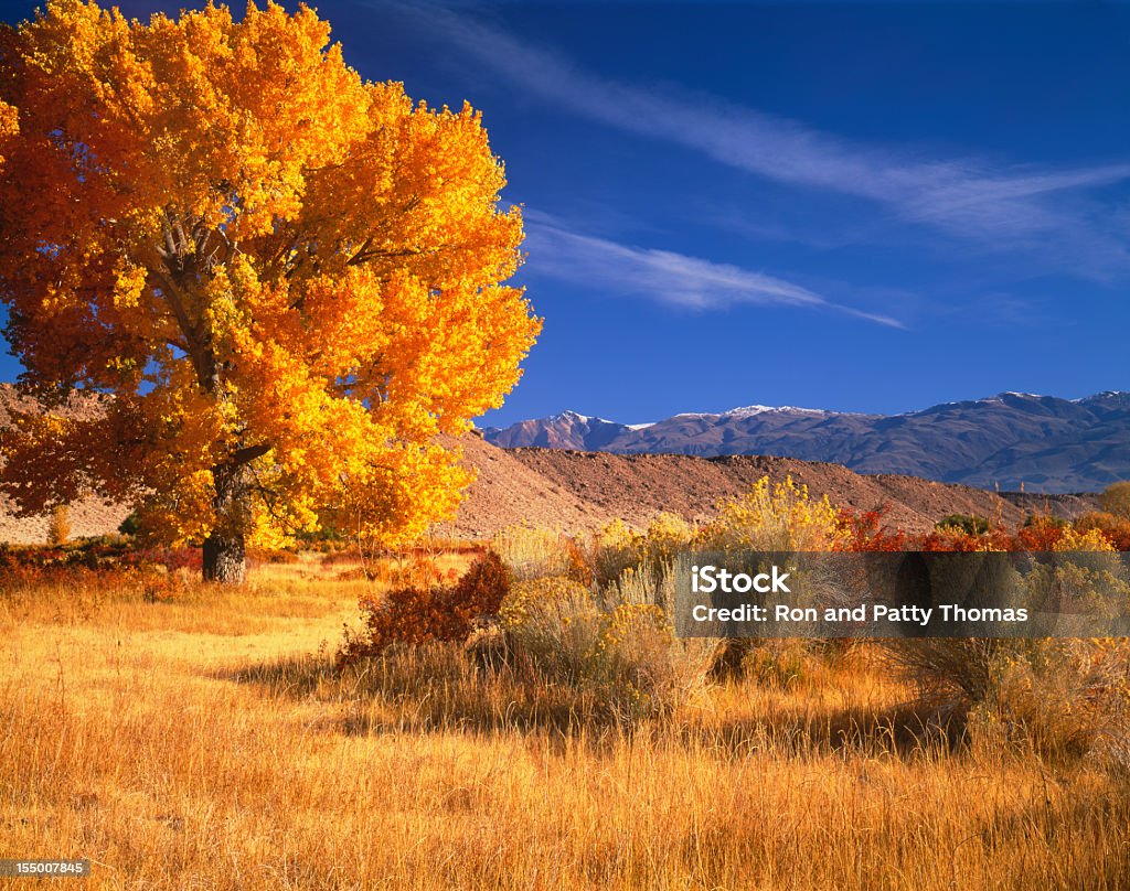 Owen s Valley (Pg) d'automne surprenantes - Photo de Automne libre de droits