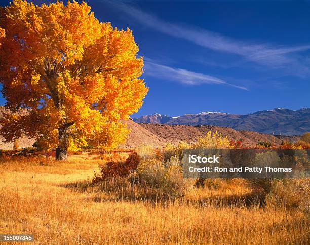 Оуэнs Долинаs Awesome Осенний Пг — стоковые фотографии и другие картинки Калифорния - Калифорния, Осень, Гора