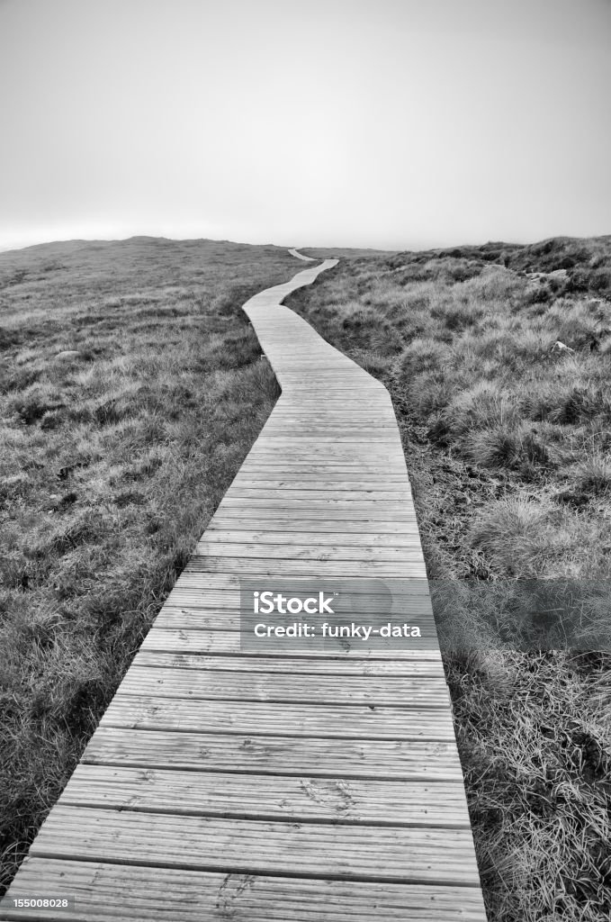 Largo camino por delante - Foto de stock de Blanco y negro libre de derechos