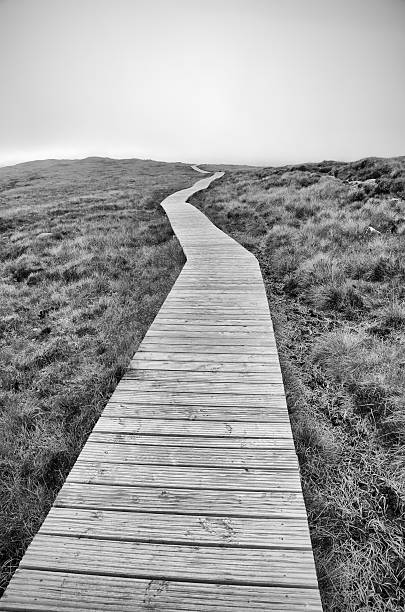 Long path ahead  connemara national park stock pictures, royalty-free photos & images