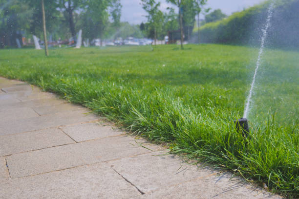 istock automatic watering grass, garden lawn sprinkler in action. 1550083489