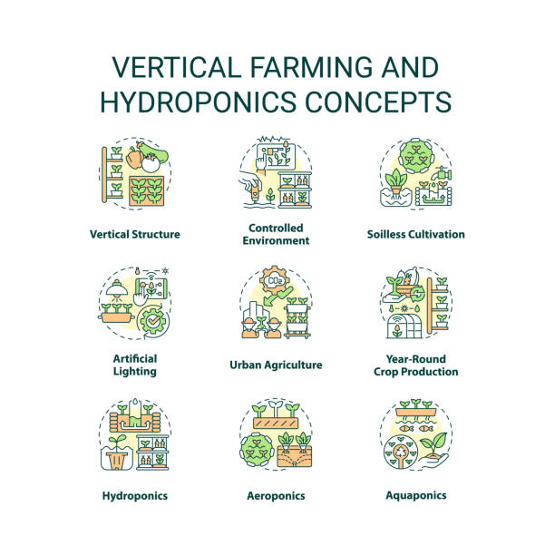 satz von symbolen für konzepte der vertikalen landwirtschaft und hydrokultur - aeroponics stock-grafiken, -clipart, -cartoons und -symbole