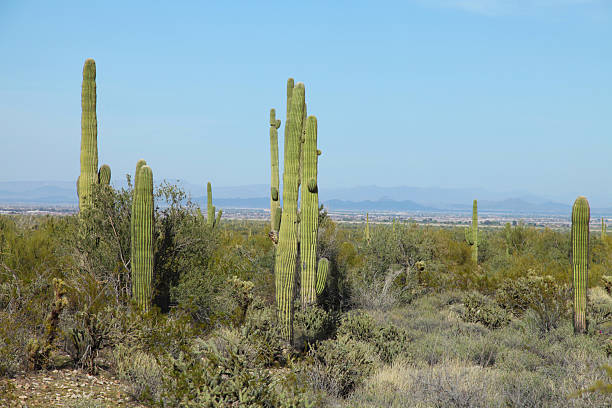 Arizona countryside stock photo