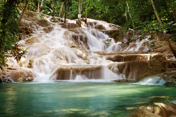 dunns river falls - agua de jamaica fotografías e imágenes de stock