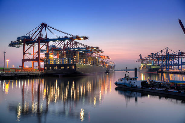 잔점박이 - hamburg germany harbor cargo container commercial dock 뉴스 사진 이미지