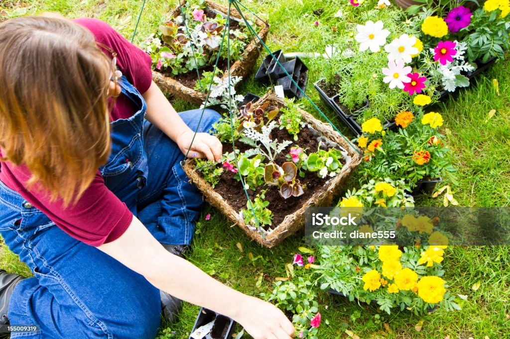 Frau Füllung Planters mit Blumen - Lizenzfrei Ansicht aus erhöhter Perspektive Stock-Foto