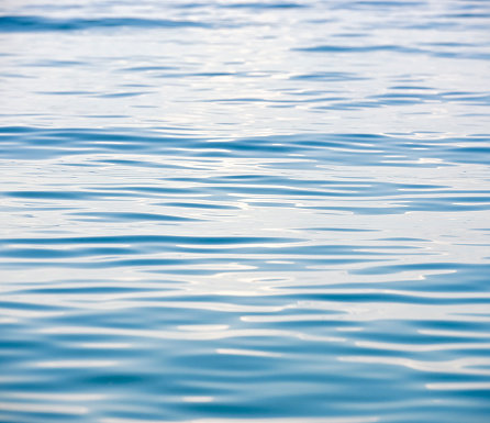 Light reflecting off gentle waves on a the surface of a large body of water.