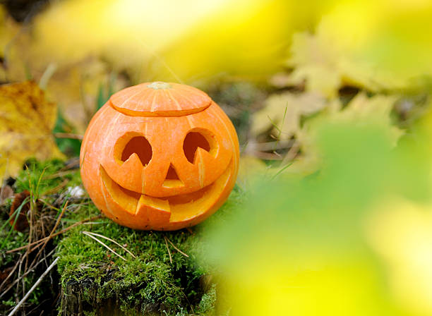 istock Halloween scary pumpkin in autumn forest 155011618