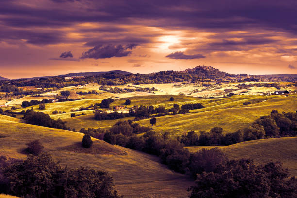 Italian medieval town Montepulciano on the hill, skyline and countryside landscape with vineyards and olive trees at sunset