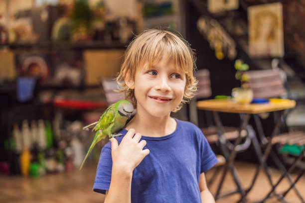 istock Kid playing with his pet green parrot 1550129416