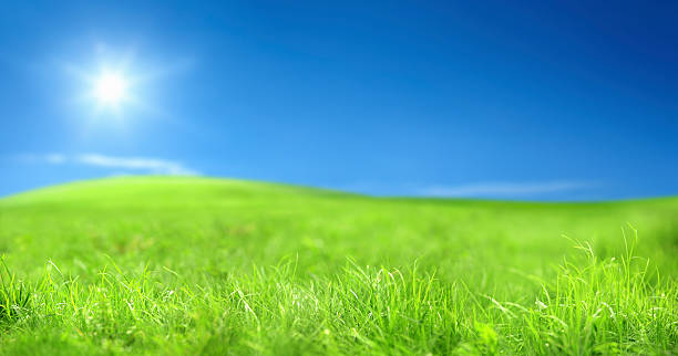 paisagem verde com céu ensolarado - lea - fotografias e filmes do acervo