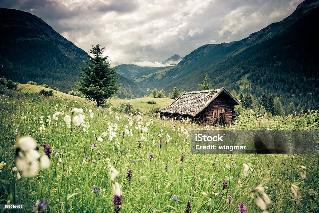Primavera prado con cielo dramático n- tirol, austria- vintage filtrado - Foto de stock de Montaña libre de derechos