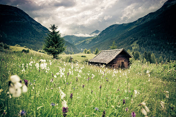 primavera prado con cielo dramático n- tirol, austria- vintage filtrado - austria tirol cloud land fotografías e imágenes de stock