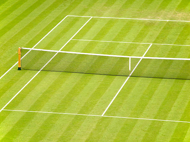 Grass Tennis Court  wimbledon stock pictures, royalty-free photos & images
