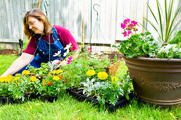 Woman Filling Planters With Flowers
