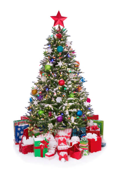 flocado árvore de natal - photograhy imagens e fotografias de stock