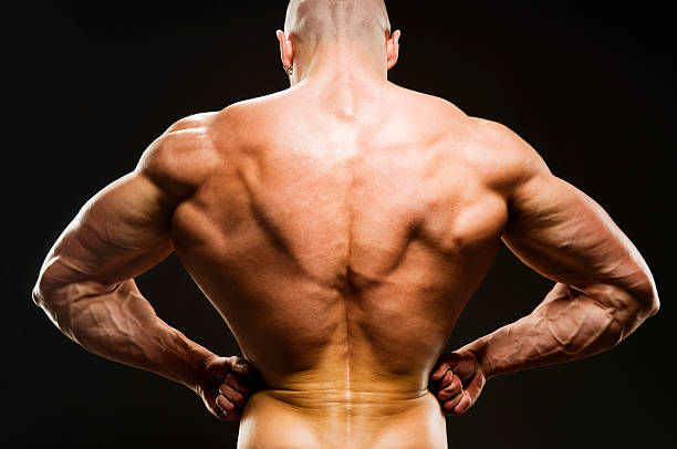 Body Builder Posing - Rear Lat Spread  lat spread bodybuilder stock pictures, royalty-free photos & images