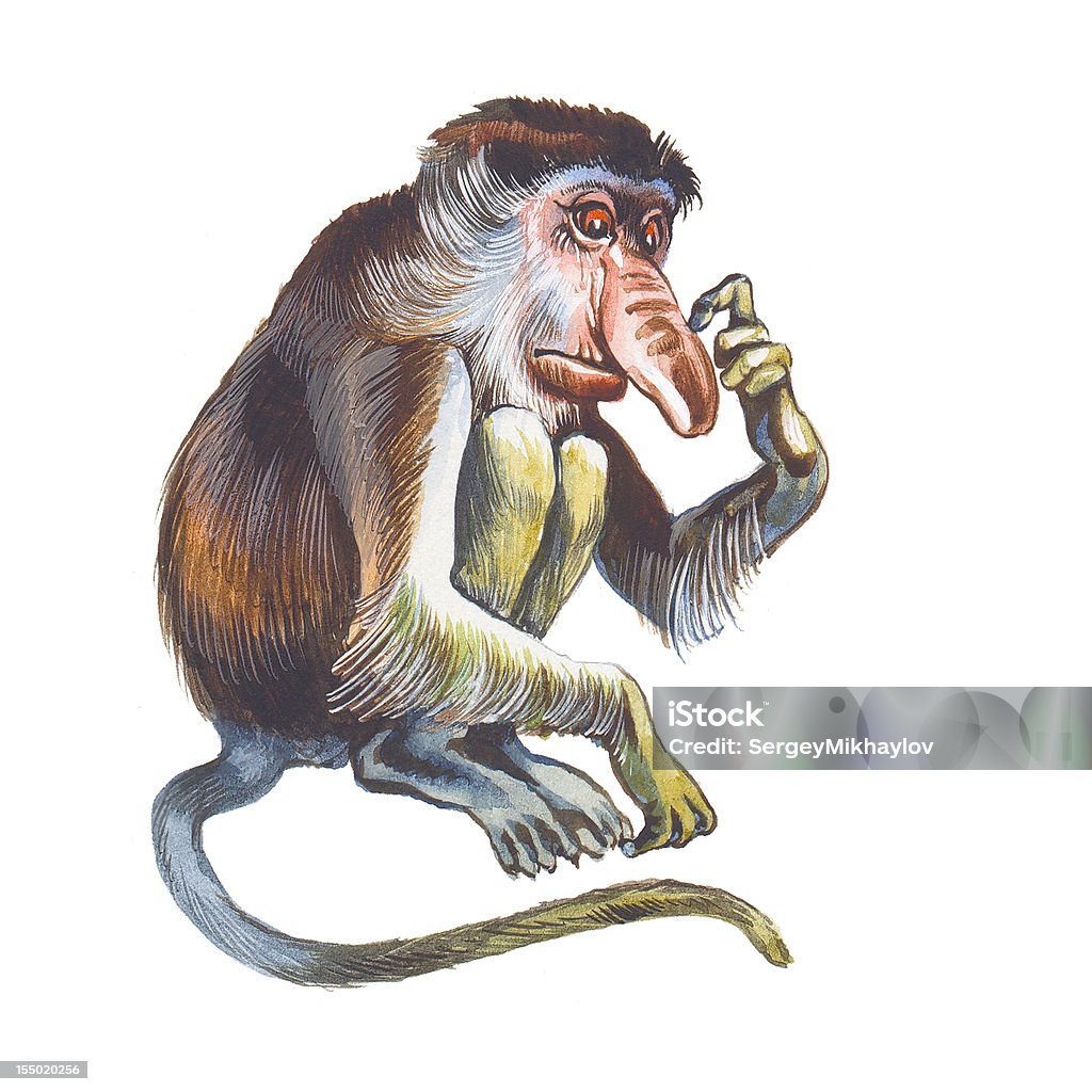 코주부원숭이 - 로열티 프리 수채화 스톡 일러스트