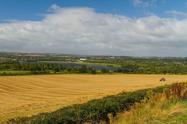 campo de colheita - agricultural activity yorkshire wheat field imagens e fotografias de stock