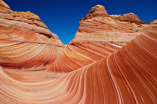 istock The Wave - Vermillion Cliffs N.P., Utah 155020606