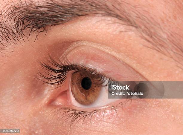 Eye Stock Photo - Download Image Now - Color Image, Eye, Eyeball