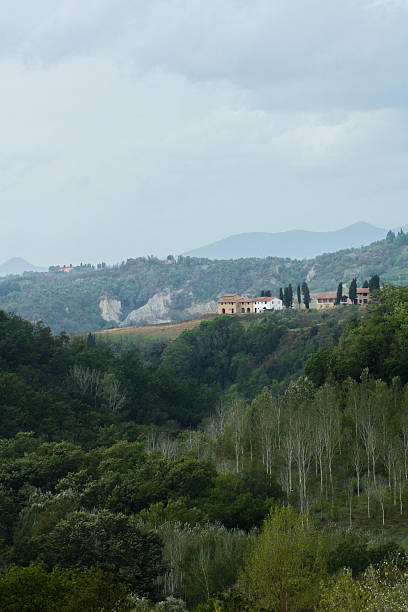 イタリア、トスカーナ、9 月 - フラウンスドドレス ストックフォトと画像