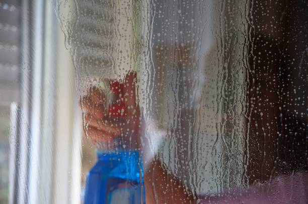 istock Woman holding window cleaner in a plastic bottle 1550214202
