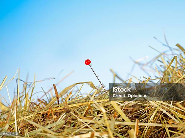 針の眺めでヘイスタック - Needle in a Haystack 英語の慣用句のストックフォトや画像を多数ご用意 - Needle in a Haystack 英語の慣用句, 干草の山, 針