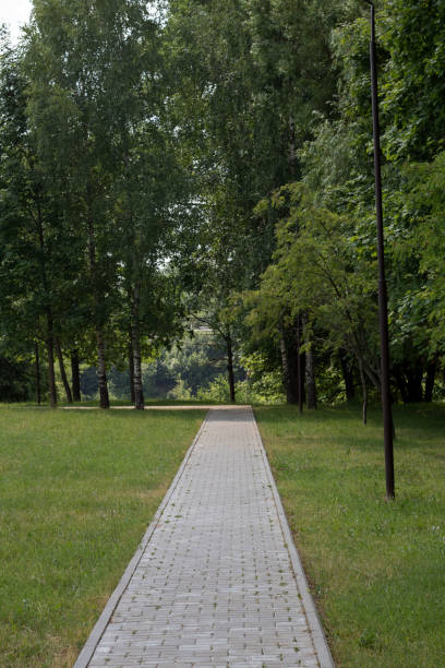 istock photo walking trail in a park with trees 1550222624