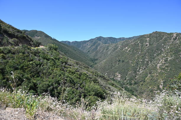 istock San Gabriel mountains viewed from Glendora Mountain in July 2023. 1550225341
