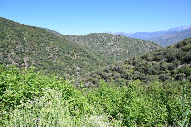 istock San Gabriel mountains viewed from Glendora Mountain in July 2023. 1550226420
