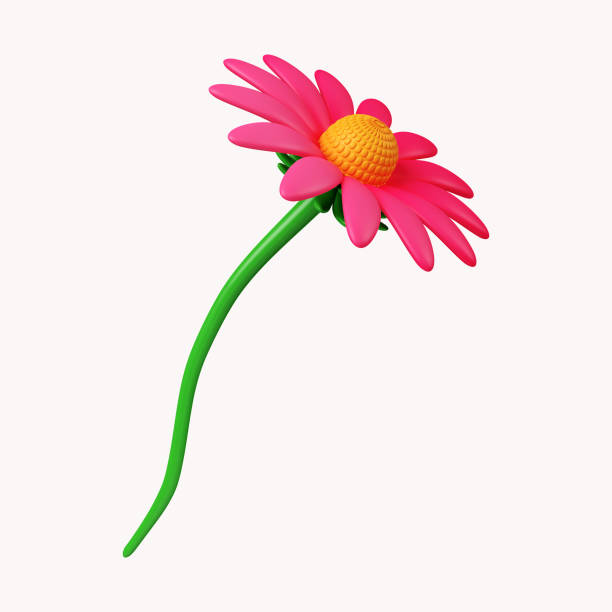 istock 3d echinacea flower. icon isolated on white background. 3d rendering illustration. Clipping path. 1550230210