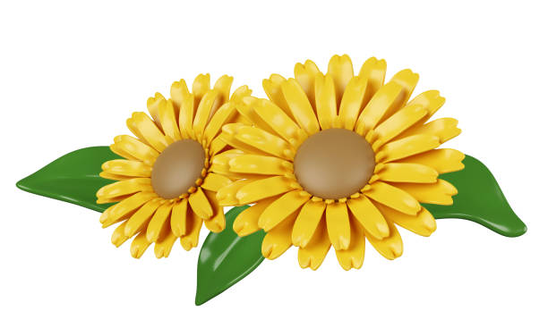 3d 태양 꽃입니다. 장식용 꽃입니다. 화려한 봄 꽃다발입니다. 꽃꽂이 화환. 아이콘은 흰색 배경에 분리되어 있습니다. 3d 렌더링 그림입니다. 클리핑 패스. - rounders 뉴스 사진 이미지