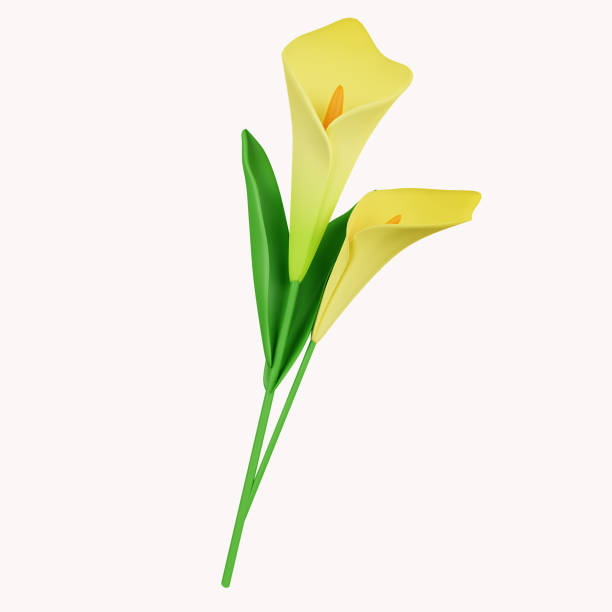 istock 3d lily. icon isolated on white background. 3d rendering illustration. Clipping path. 1550240422