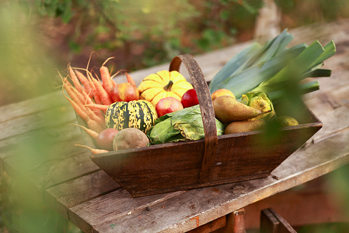 Wooden basket full of vegetables and fruits laying on the table of a permaculture farm.