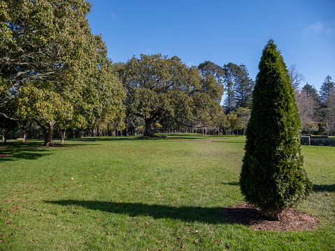 Cornwall Park in Central Auckland, New Zealand