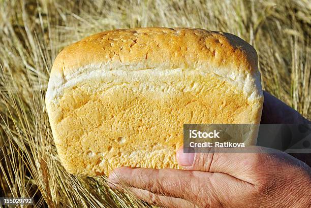 Хлеб И Поле — стоковые фотографии и другие картинки Взрослый - Взрослый, Время года, Горизонтальный