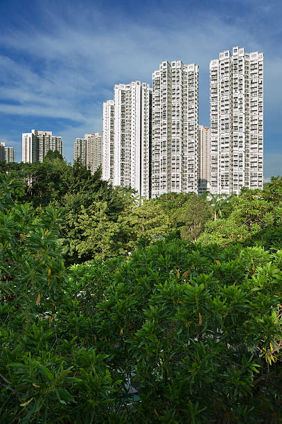 istock Hong Kong Cityscape 155030514