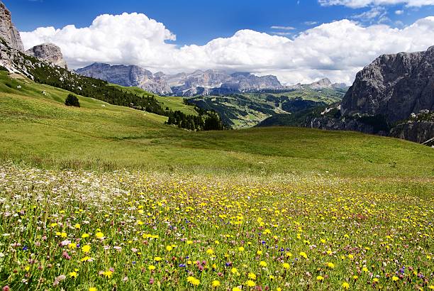 istock view from passo gardena alias grodner joch 155032117