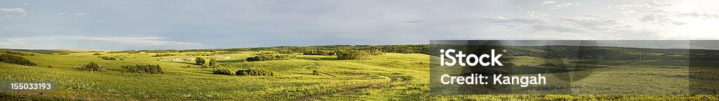 Verano verde Panorama - Foto de stock de Alberta libre de derechos