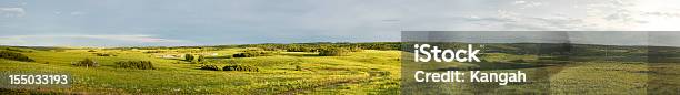 Verano Verde Panorama Foto de stock y más banco de imágenes de Alberta - Alberta, Hierba - Pasto, Pradera