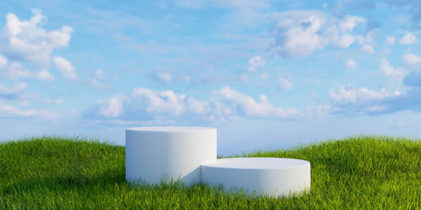 3d Green grass field with white podium. landscape scene mockup.