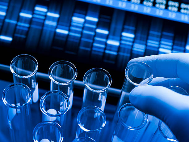 la investigación genética en el laboratorio. - test de adn fotografías e imágenes de stock